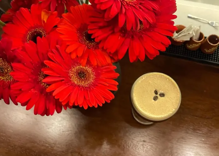 Zazz * Эстепона